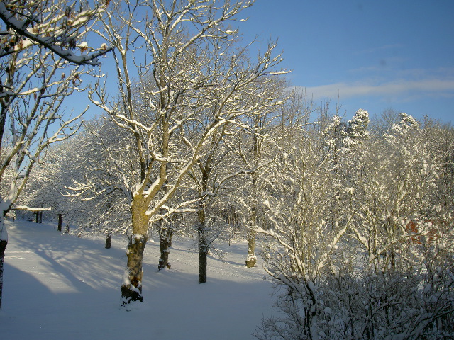 Gotland Viklau Wintertime Netclassics