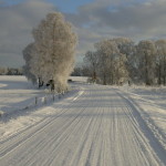 Gotland Viklau Wintertime Netclassics